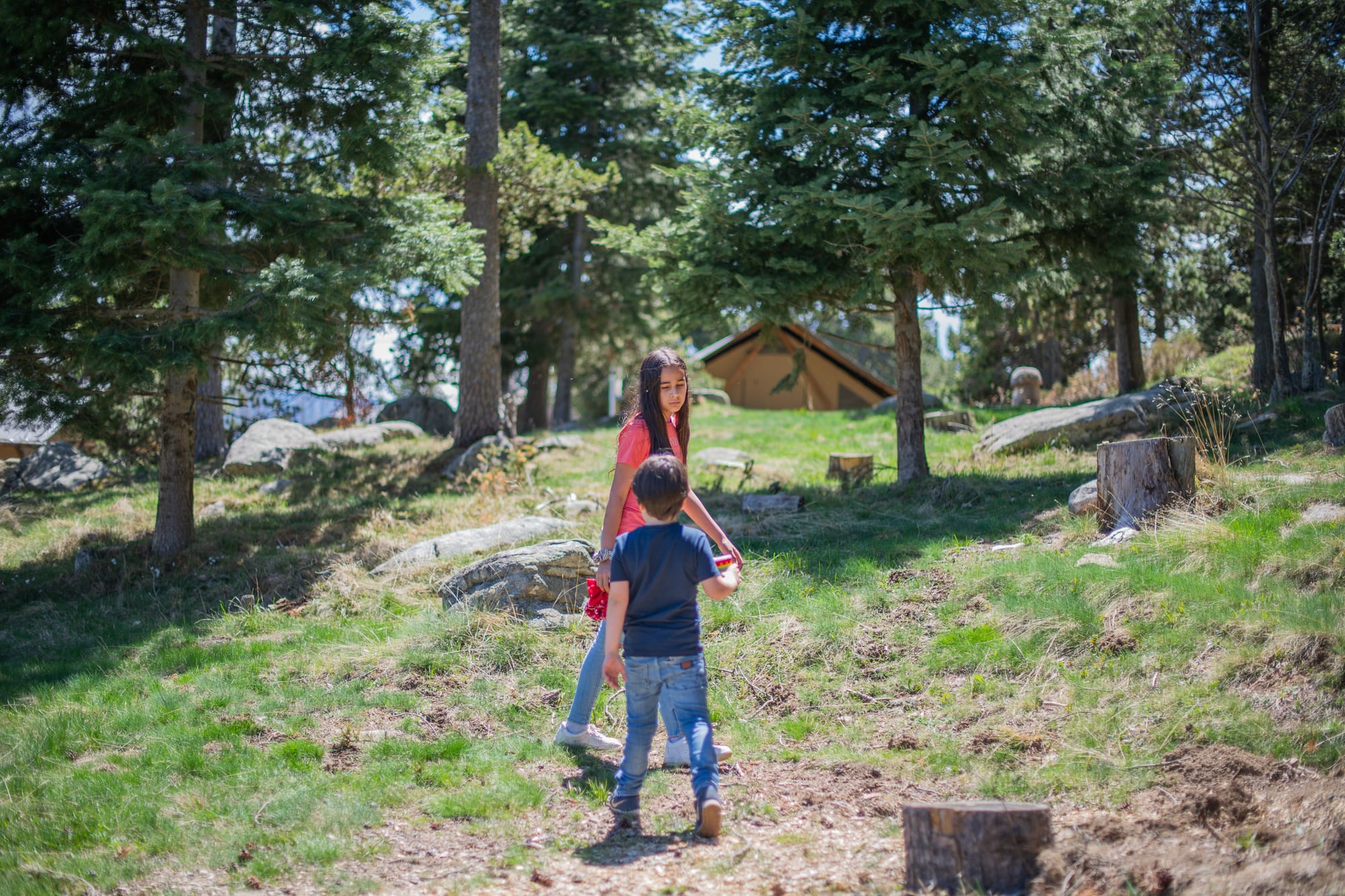 Aventuras de una Madre-Gerente entre el Orden y el Caos