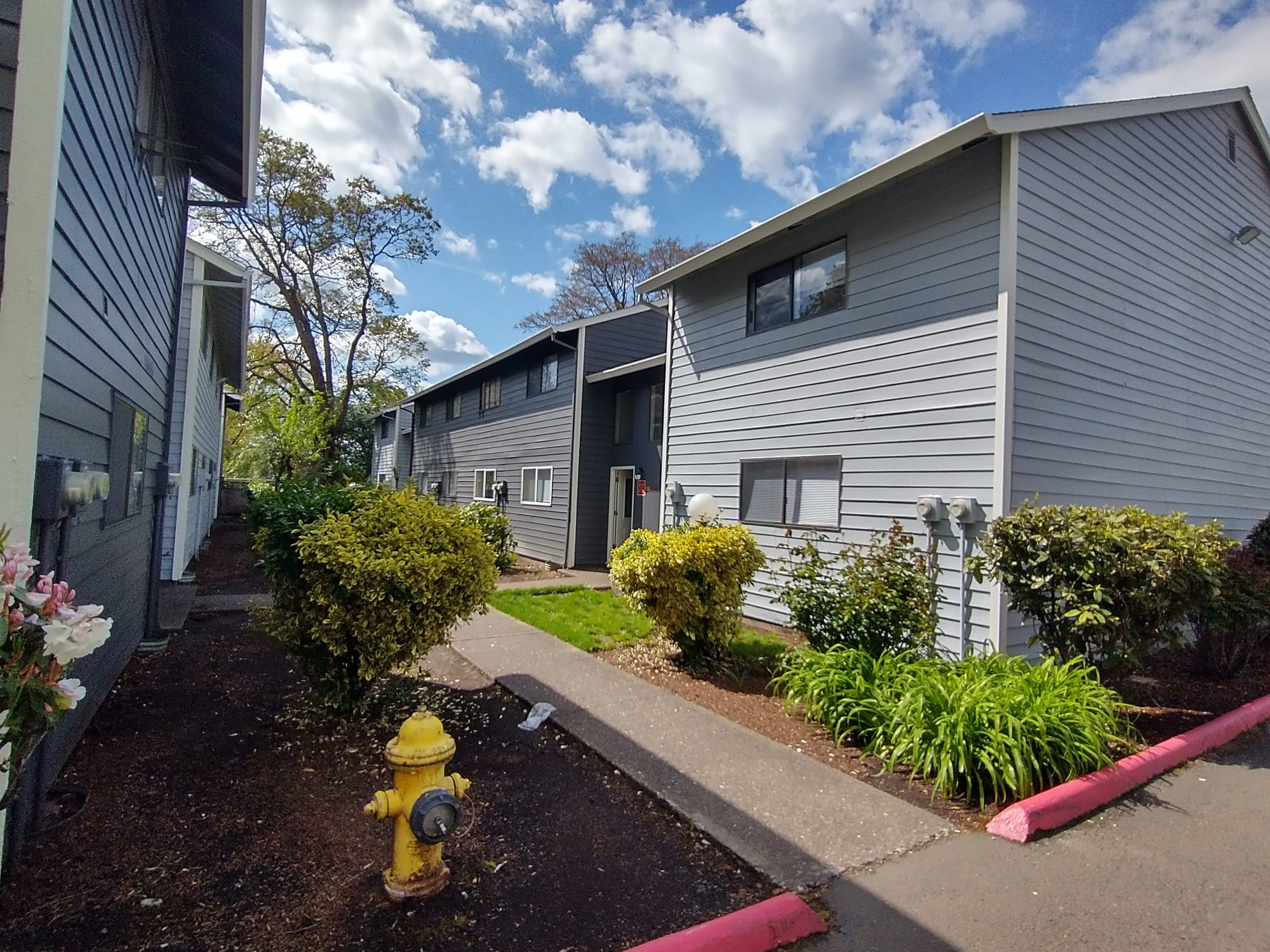 Post-Repaint Elegance: Cedar Apartments