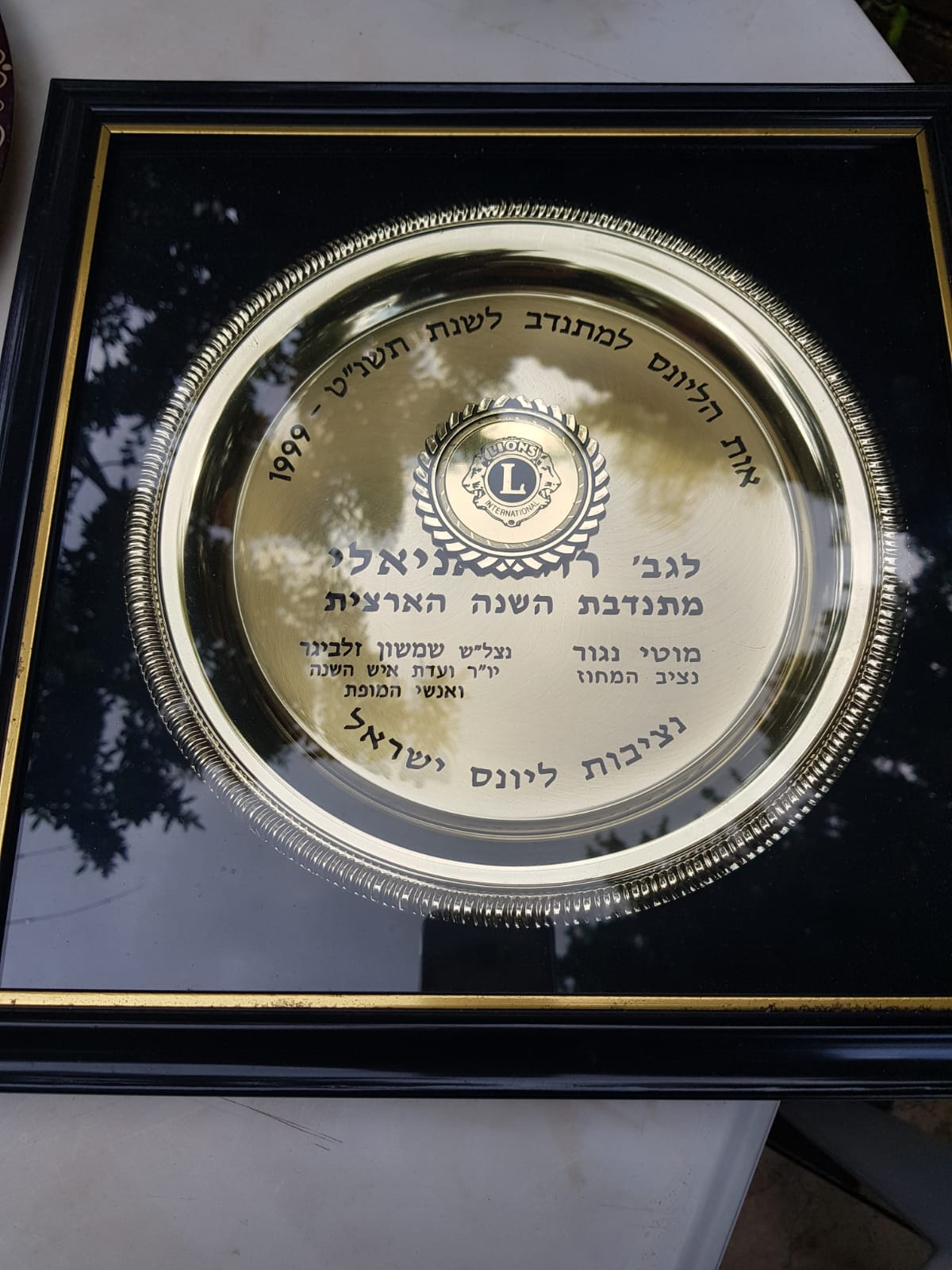 פרס מתנדבת השנה הארצית של ליונס