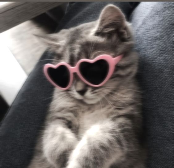 Мы