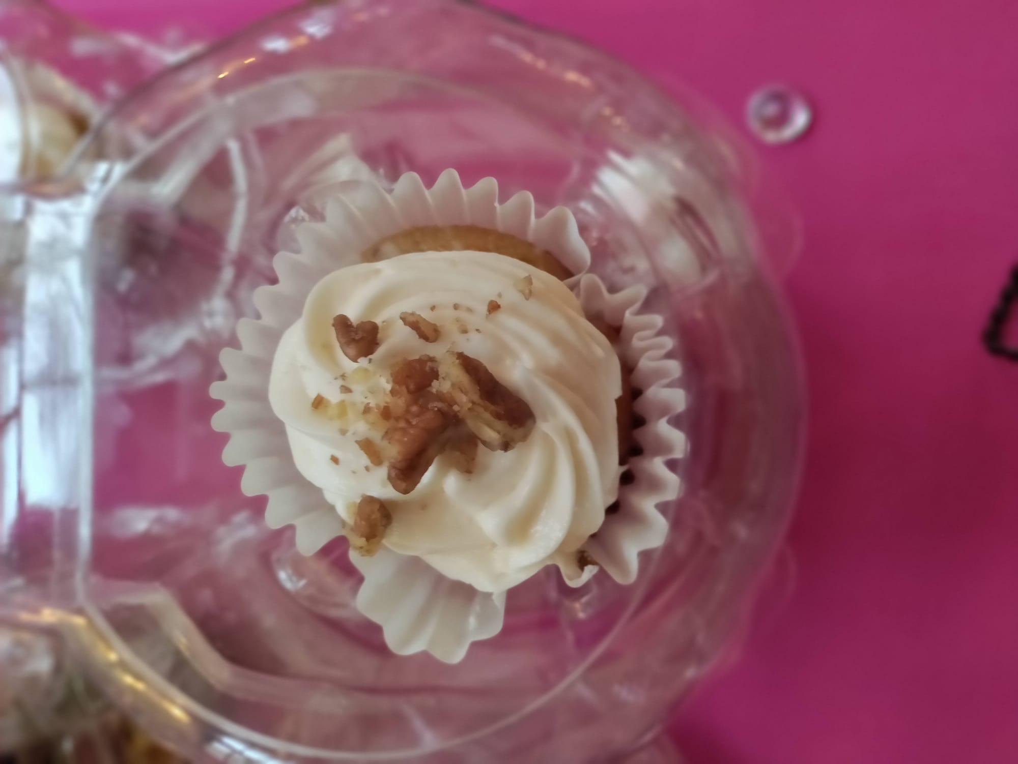 Shattered but NOT Broken 2021