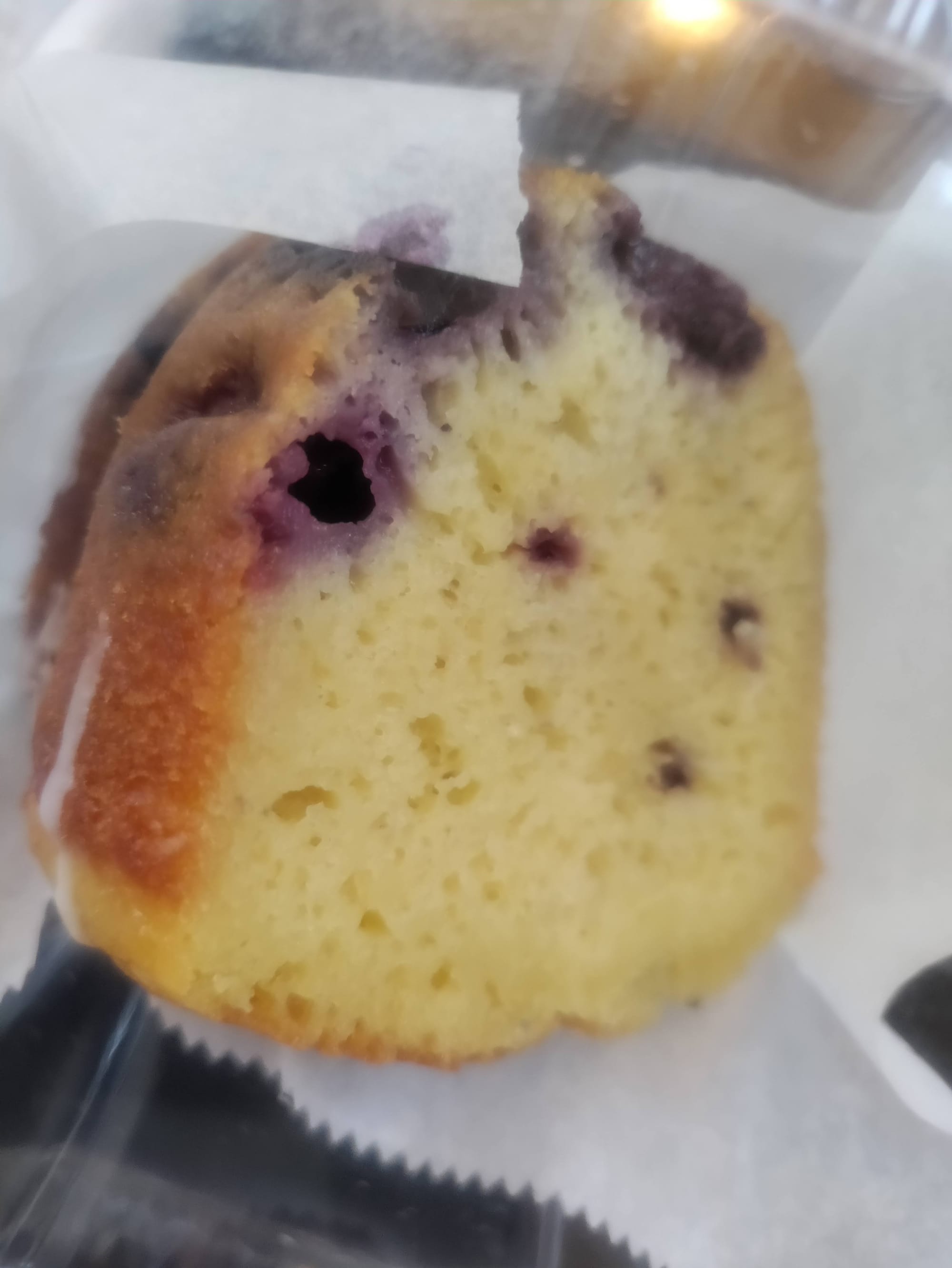 Shattered but NOT Broken 2021