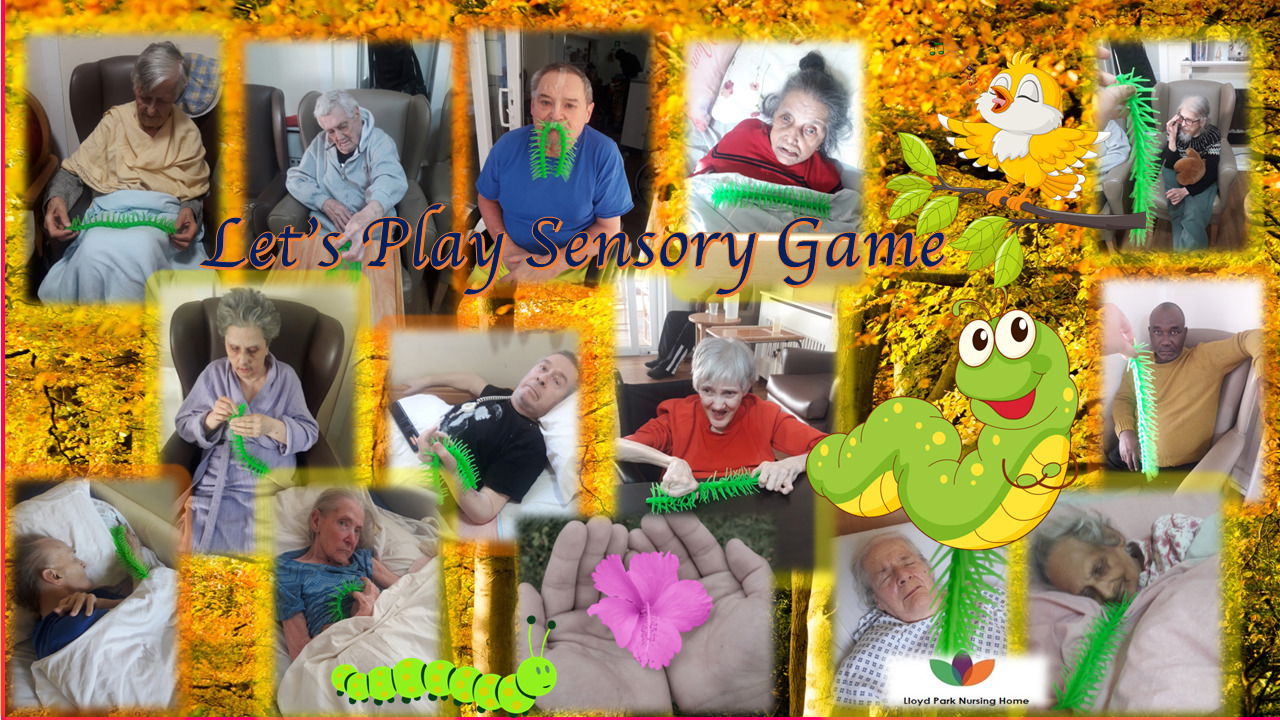 Fun with Sensory Game