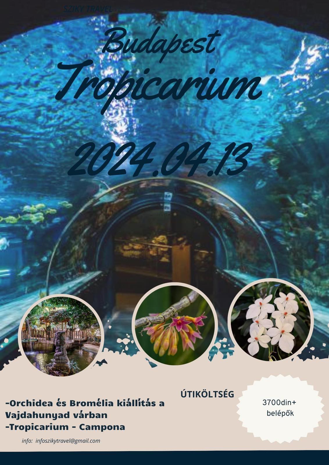 Budimpešt-Tropicarium-Izložba Orchideja