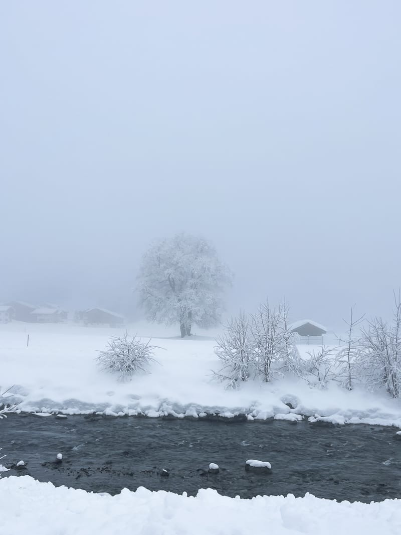 Embark on a visual journey with my lens as I capture the beauty, culture, and moments of destinations worldwide.