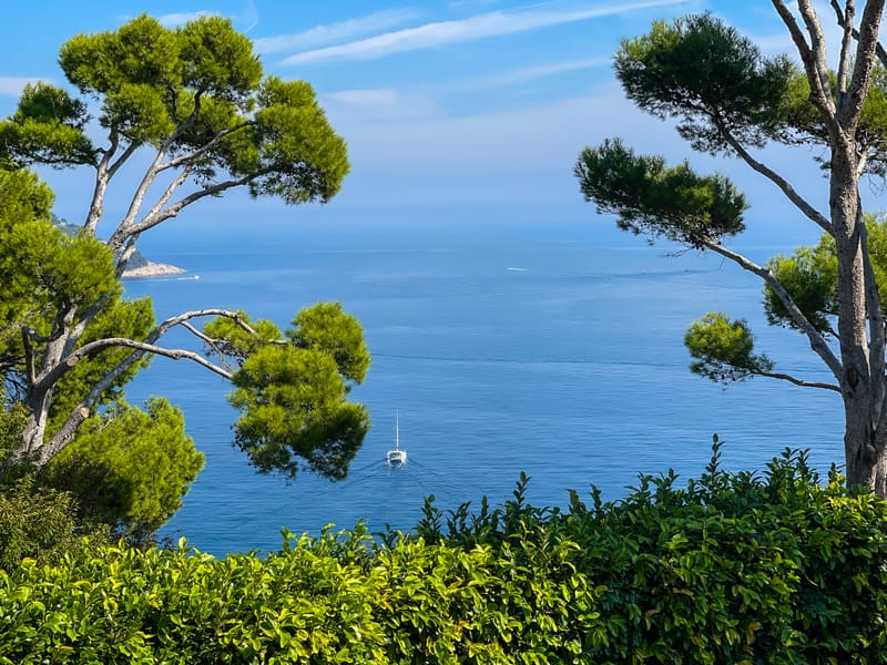 Embark on a visual journey with my lens as I capture the beauty, culture, and moments of destinations worldwide.