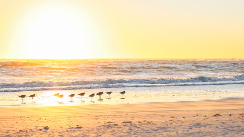 Embark on a visual journey with my lens as I capture the beauty, culture, and moments of destinations worldwide.