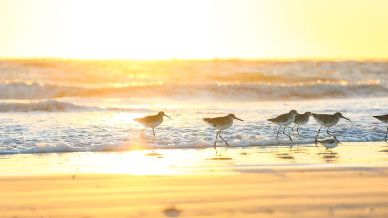 Embark on a visual journey with my lens as I capture the beauty, culture, and moments of destinations worldwide.