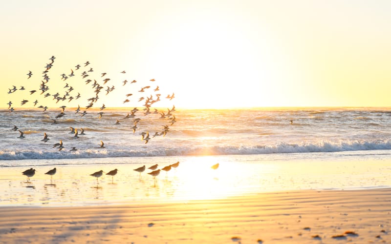 Embark on a visual journey with my lens as I capture the beauty, culture, and moments of destinations worldwide.