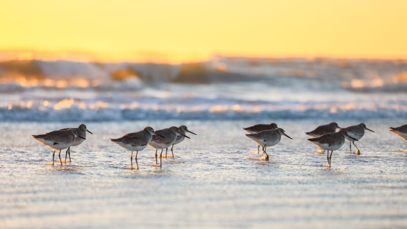 Embark on a visual journey with my lens as I capture the beauty, culture, and moments of destinations worldwide.