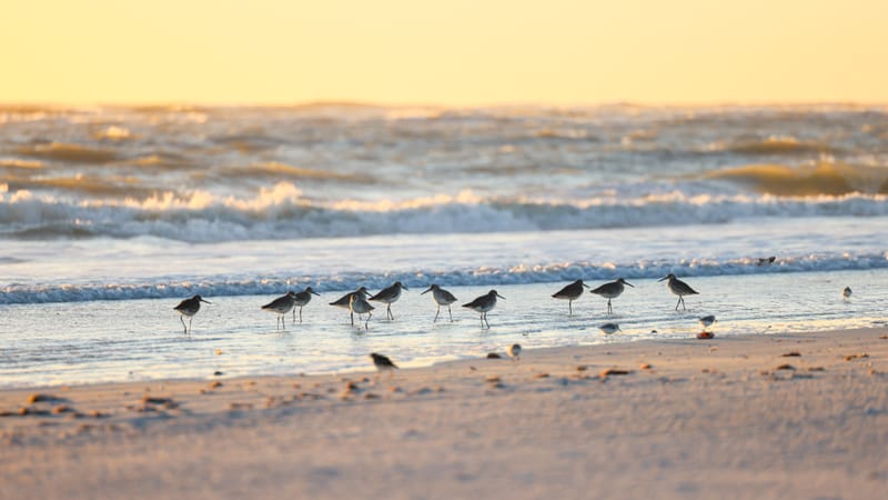 Embark on a visual journey with my lens as I capture the beauty, culture, and moments of destinations worldwide.