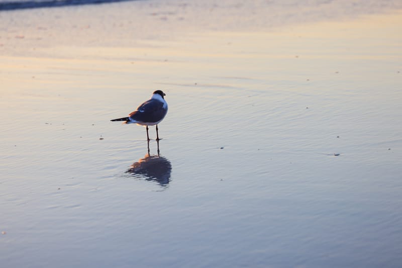 Embark on a visual journey with my lens as I capture the beauty, culture, and moments of destinations worldwide.