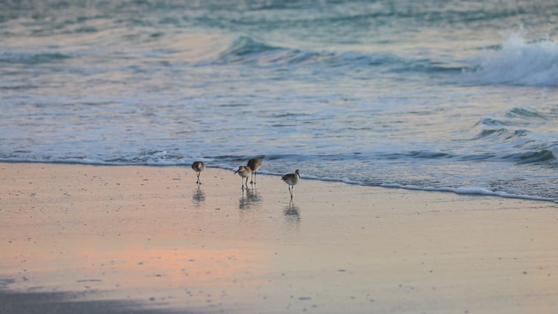 Embark on a visual journey with my lens as I capture the beauty, culture, and moments of destinations worldwide.