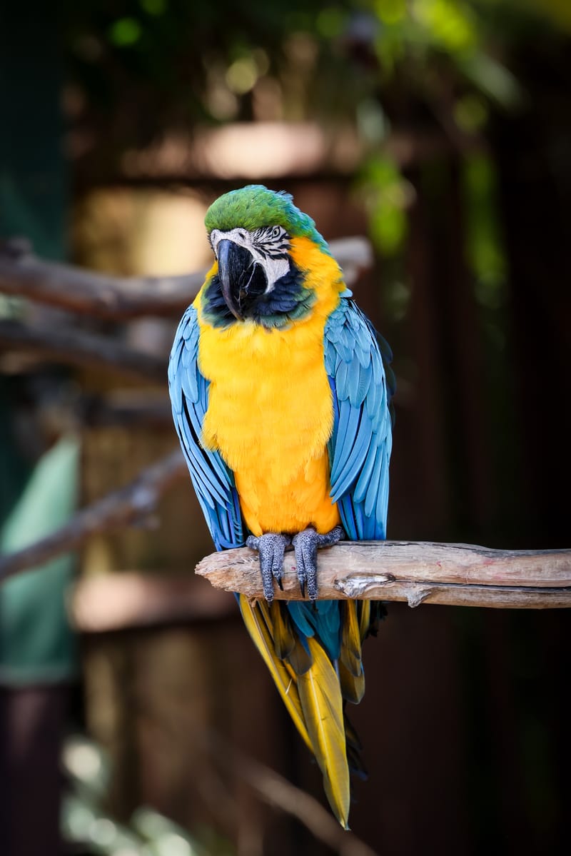 Embark on a visual journey with my lens as I capture the beauty, culture, and moments of destinations worldwide.