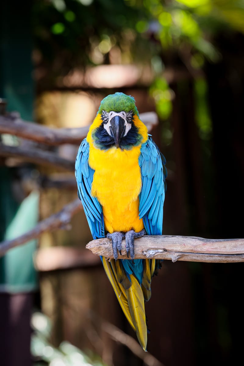 Embark on a visual journey with my lens as I capture the beauty, culture, and moments of destinations worldwide.