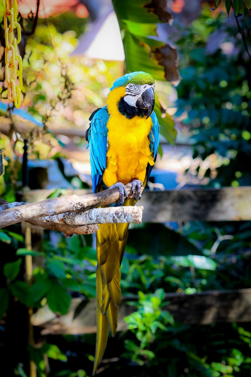 Embark on a visual journey with my lens as I capture the beauty, culture, and moments of destinations worldwide.