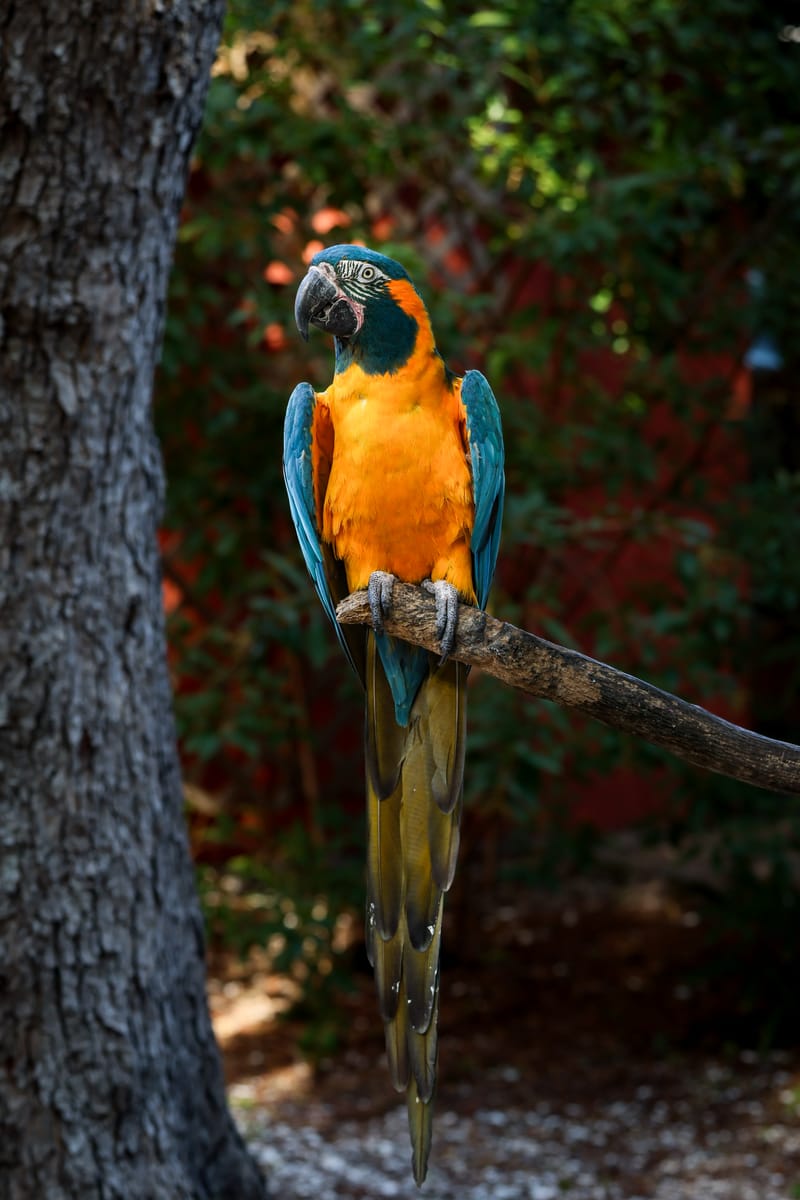 Embark on a visual journey with my lens as I capture the beauty, culture, and moments of destinations worldwide.