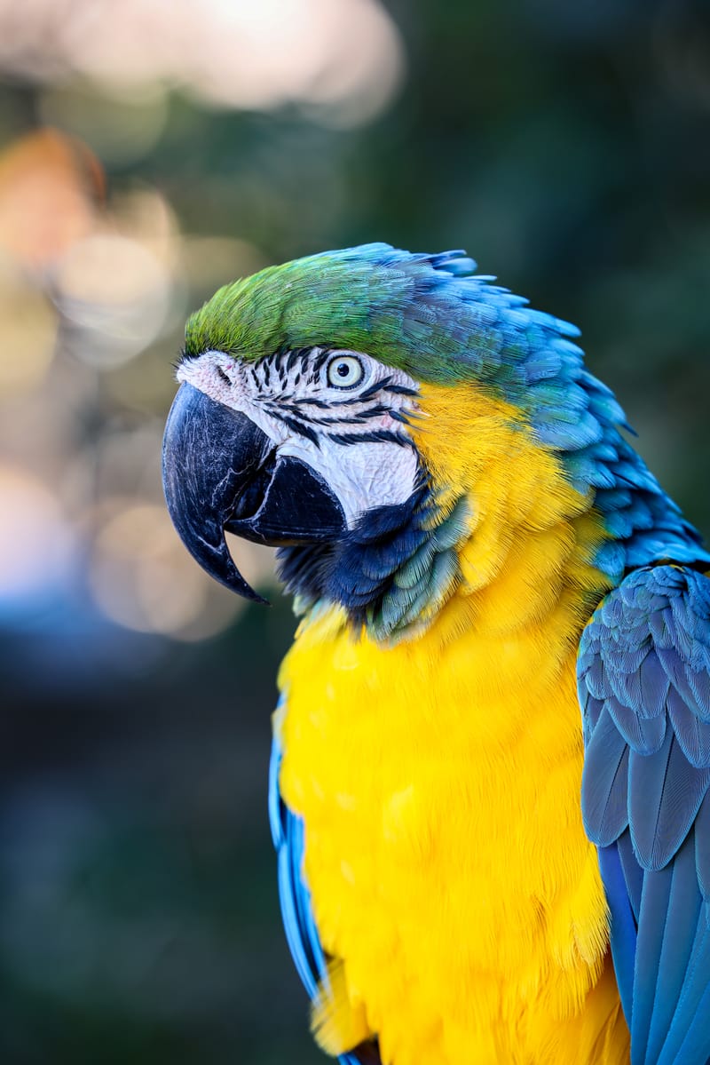 Embark on a visual journey with my lens as I capture the beauty, culture, and moments of destinations worldwide.