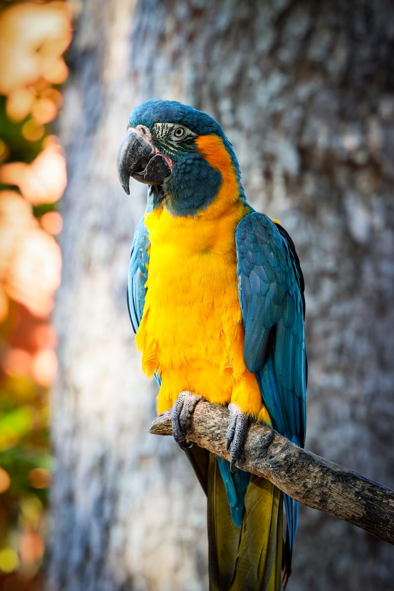 Embark on a visual journey with my lens as I capture the beauty, culture, and moments of destinations worldwide.