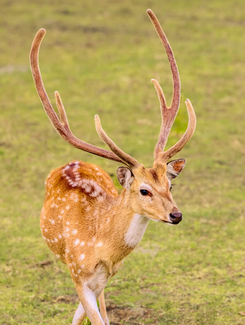 Embark on a visual journey with my lens as I capture the beauty, culture, and moments of destinations worldwide.