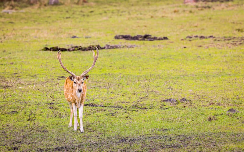 Embark on a visual journey with my lens as I capture the beauty, culture, and moments of destinations worldwide.
