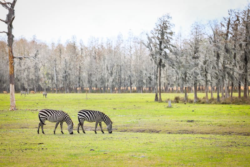 Embark on a visual journey with my lens as I capture the beauty, culture, and moments of destinations worldwide.