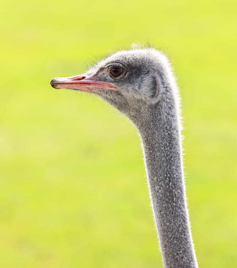 Embark on a visual journey with my lens as I capture the beauty, culture, and moments of destinations worldwide.