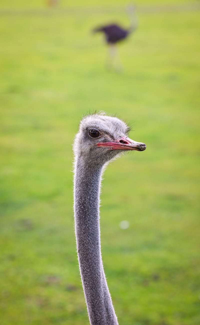 Embark on a visual journey with my lens as I capture the beauty, culture, and moments of destinations worldwide.