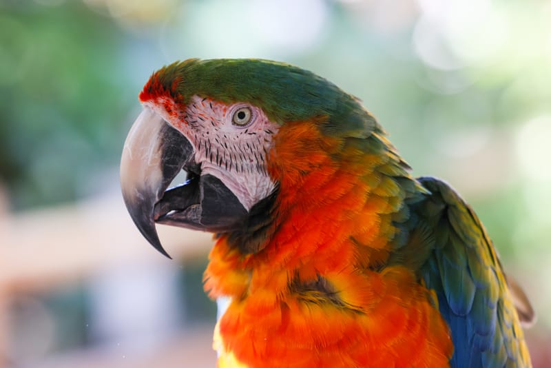 Embark on a visual journey with my lens as I capture the beauty, culture, and moments of destinations worldwide.