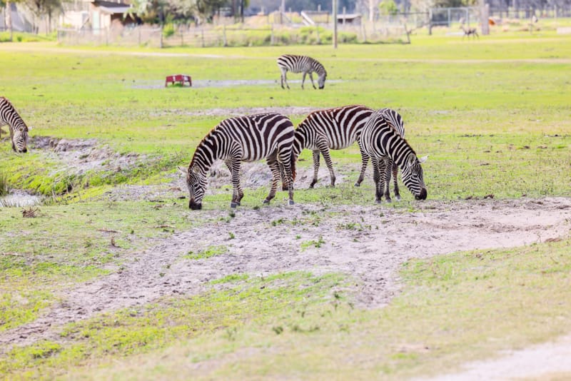 Embark on a visual journey with my lens as I capture the beauty, culture, and moments of destinations worldwide.