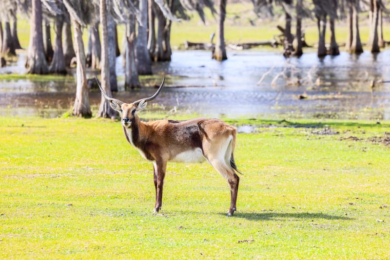 Embark on a visual journey with my lens as I capture the beauty, culture, and moments of destinations worldwide.