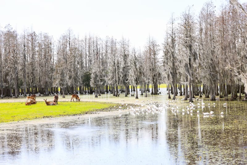 Embark on a visual journey with my lens as I capture the beauty, culture, and moments of destinations worldwide.