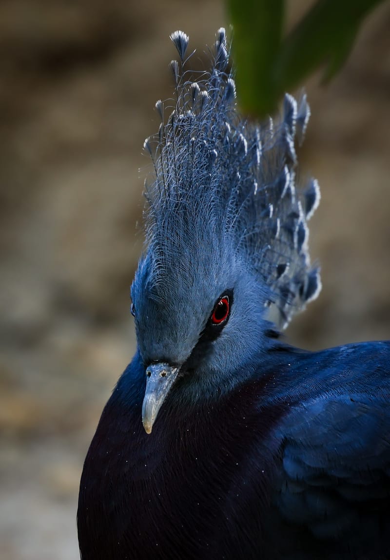 Embark on a visual journey with my lens as I capture the beauty, culture, and moments of destinations worldwide.