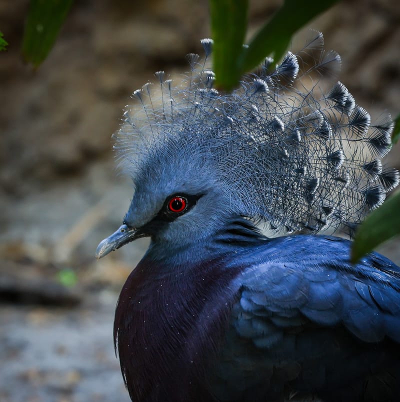 Embark on a visual journey with my lens as I capture the beauty, culture, and moments of destinations worldwide.