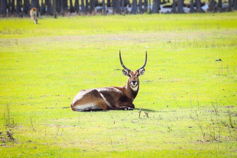 Embark on a visual journey with my lens as I capture the beauty, culture, and moments of destinations worldwide.