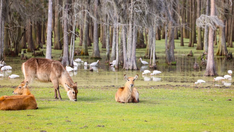 Embark on a visual journey with my lens as I capture the beauty, culture, and moments of destinations worldwide.
