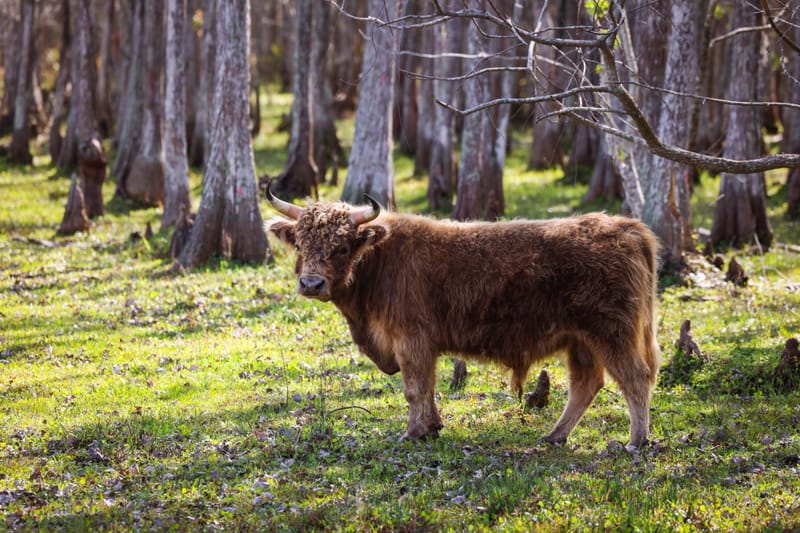 Embark on a visual journey with my lens as I capture the beauty, culture, and moments of destinations worldwide.