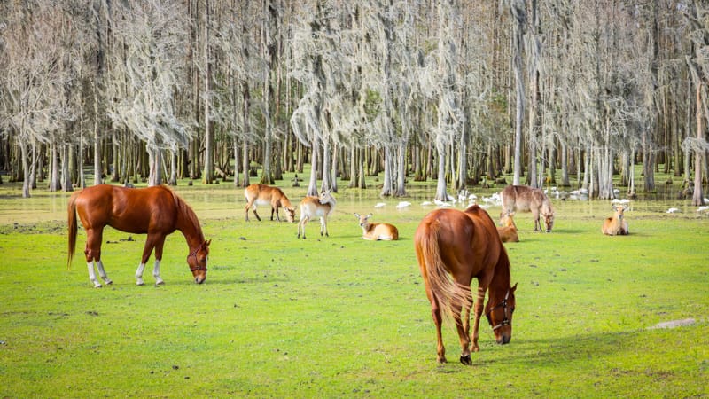 Embark on a visual journey with my lens as I capture the beauty, culture, and moments of destinations worldwide.
