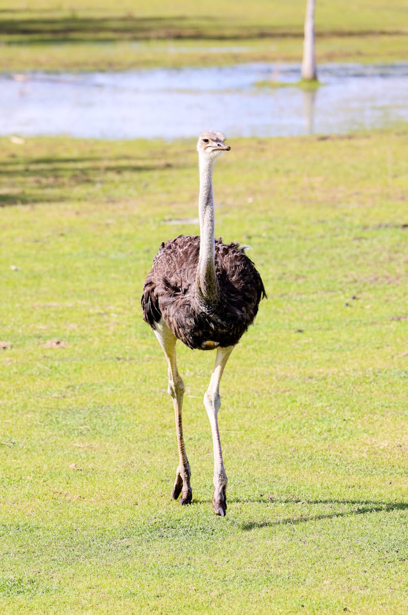 Embark on a visual journey with my lens as I capture the beauty, culture, and moments of destinations worldwide.