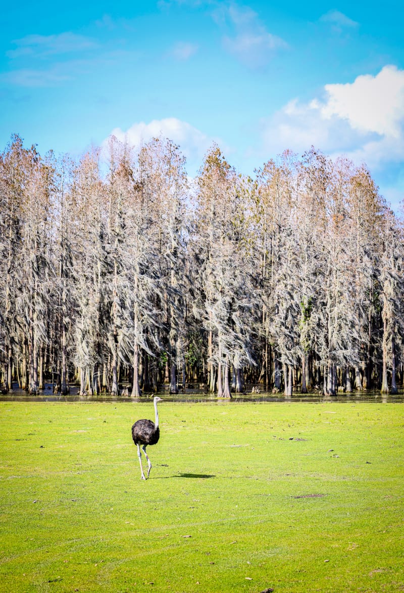 Embark on a visual journey with my lens as I capture the beauty, culture, and moments of destinations worldwide.