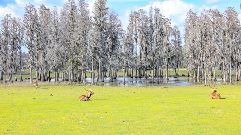 Embark on a visual journey with my lens as I capture the beauty, culture, and moments of destinations worldwide.