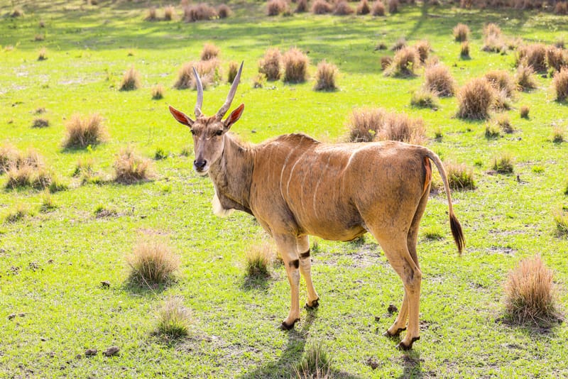 Embark on a visual journey with my lens as I capture the beauty, culture, and moments of destinations worldwide.