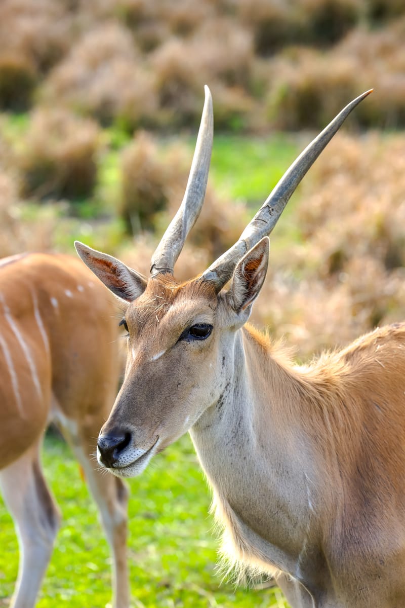 Embark on a visual journey with my lens as I capture the beauty, culture, and moments of destinations worldwide.