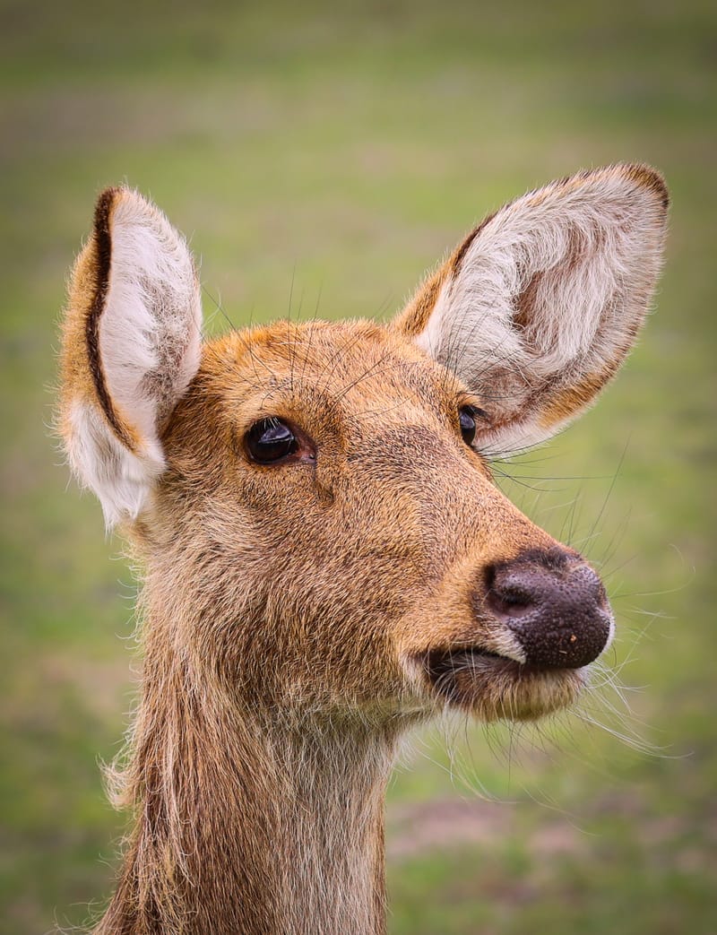 Embark on a visual journey with my lens as I capture the beauty, culture, and moments of destinations worldwide.