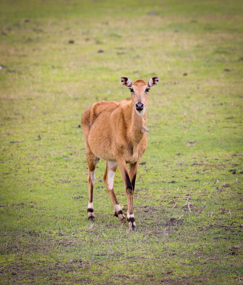 Embark on a visual journey with my lens as I capture the beauty, culture, and moments of destinations worldwide.