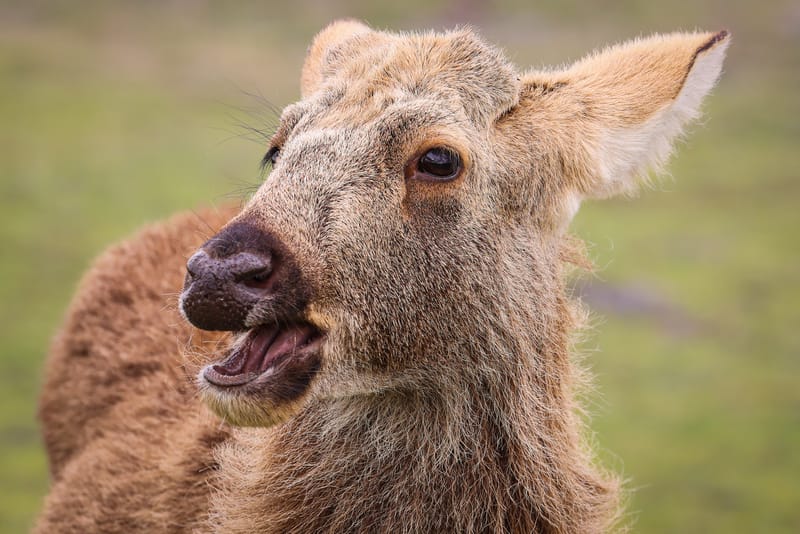 Embark on a visual journey with my lens as I capture the beauty, culture, and moments of destinations worldwide.