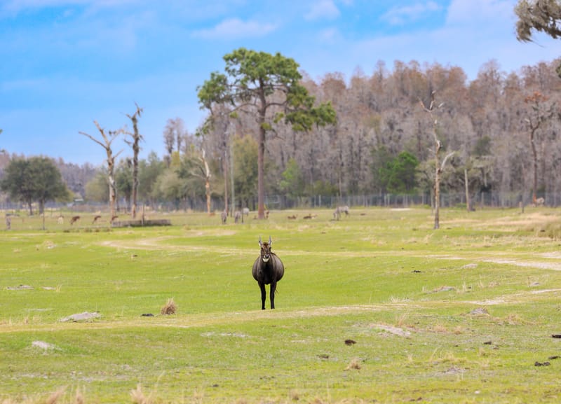 Embark on a visual journey with my lens as I capture the beauty, culture, and moments of destinations worldwide.