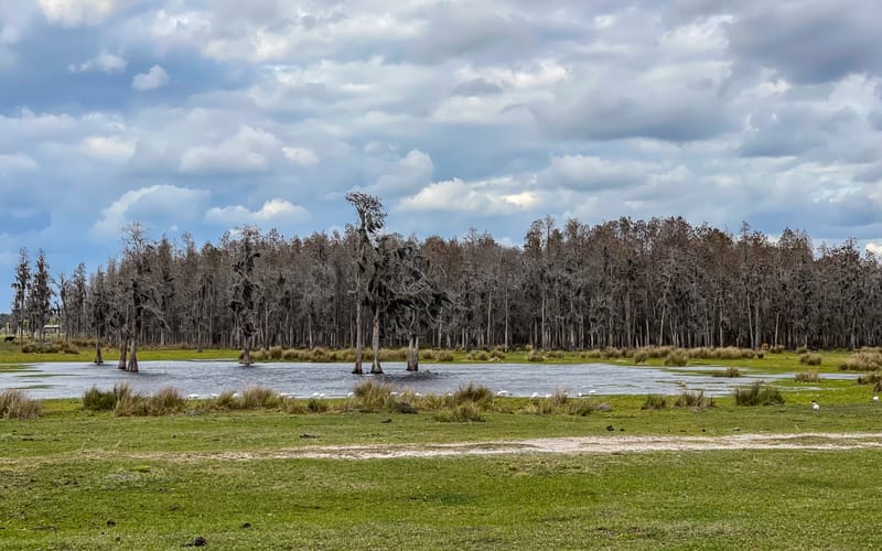 Embark on a visual journey with my lens as I capture the beauty, culture, and moments of destinations worldwide.