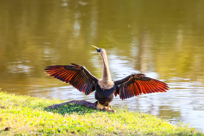 Embark on a visual journey with my lens as I capture the beauty, culture, and moments of destinations worldwide.