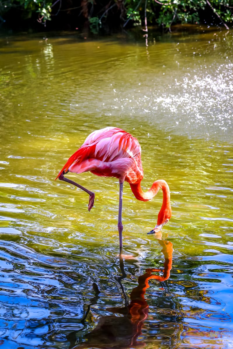 Embark on a visual journey with my lens as I capture the beauty, culture, and moments of destinations worldwide.